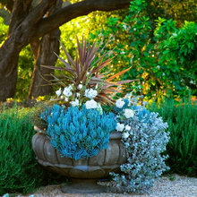Garden design