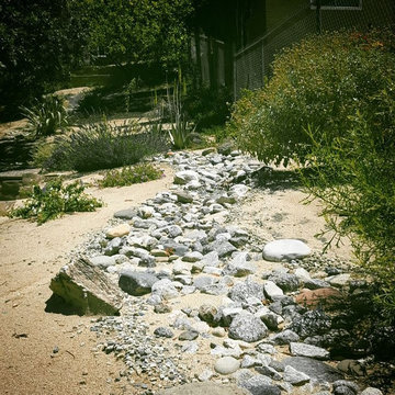 Hillside Front Yard