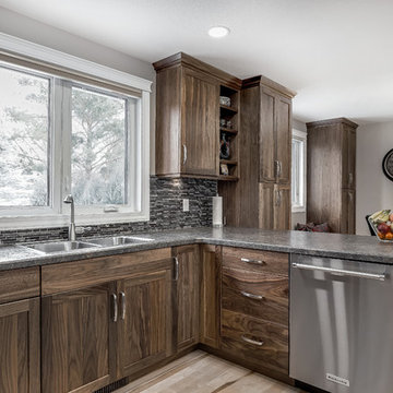 Saskatoon, Renovation - Terra