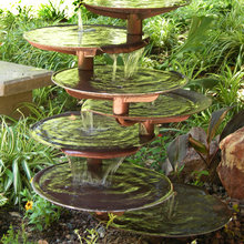 Landscape Ideas