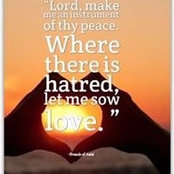 Danielle Lewis's photo