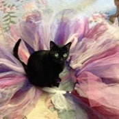 Kathi Johnson's photo