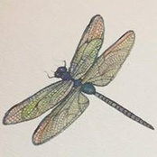 Robin Caporaletti's photo