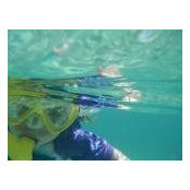 Belle Nibblett's photo