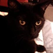 Kim Dourte's photo