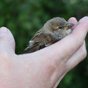 Chris Bates's photo