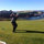 tim_maggiore
