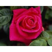 Aminata Merete's photo
