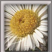Dawn Gray's photo