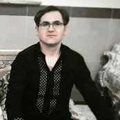 Parsa N's photo