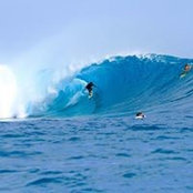 Justin Puerto's photo