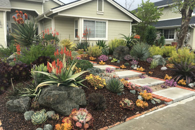 Design ideas for a mid-sized landscaping in San Luis Obispo.