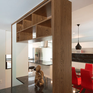 Annapolis Residence Renovation