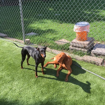 Tails of Texas, Dogie Daycare