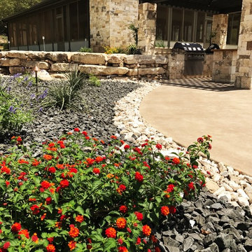 Texas Native Plant Selection