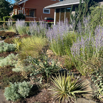 One Year After Planting