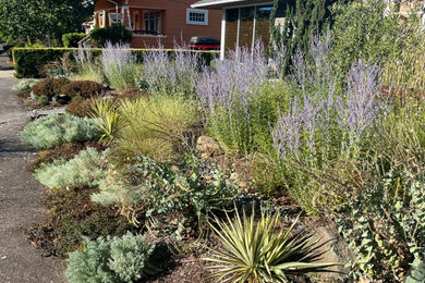 Photo of a mediterranean landscaping in Portland.