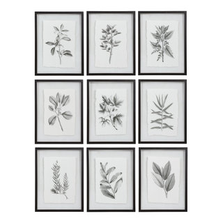 Botanical Study Leaf Berry Flower Wall Art Gold Frame Set Of 6 ~ Uttermost  33651