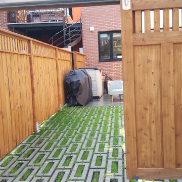 Intimate City Patio Court Garden