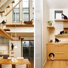 Joy's pet house