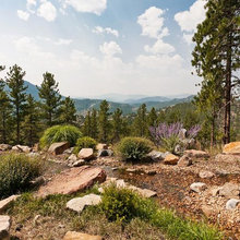 Mountain landscaping