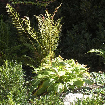 N. Chrisman Private Garden