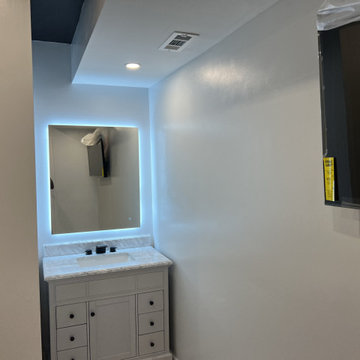 Basement Remodel