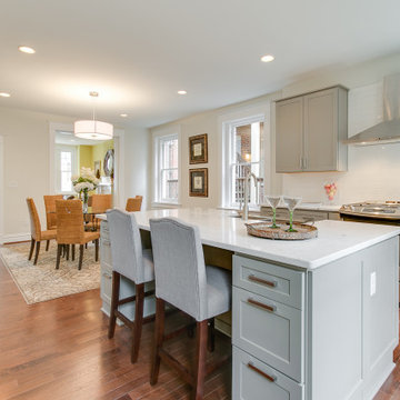 Museum District Whole Home Reno