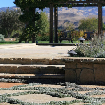 Santa Ynez Organic Ranch