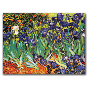 'Irises at Saint-Remy' Canvas Art by Vincent van Gogh
