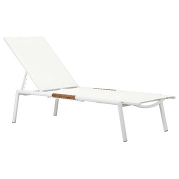 Pangea Home Dean Modern Aluminum Loungers in White Finish (Set of 2)