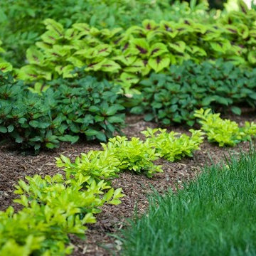 Landscape Installation and Design