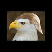 Matthew Mckenney's photo