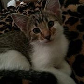 Brandy Bennett's photo