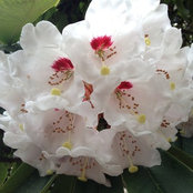 June Sharp's photo