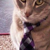 Melissa Keelaghan's photo