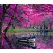 Samar El Hudhud's photo