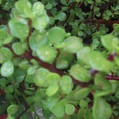 Melissa Bruce's photo