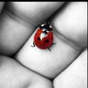 Jennifer McMillin's photo