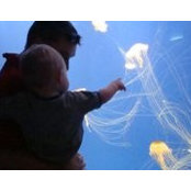 Jason Boyer's photo