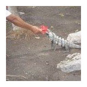 Michael Showalter's photo