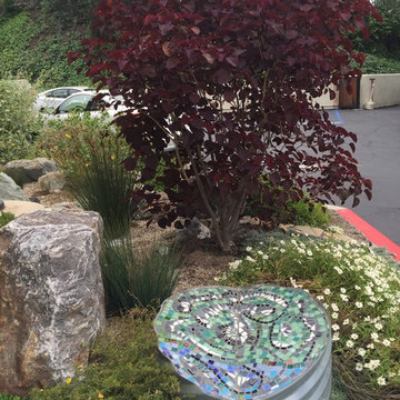 Waterwise Demonstration Garden