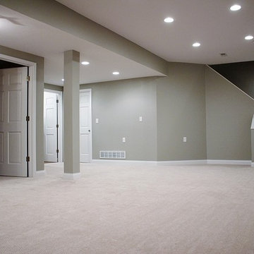 Basement - With Custom Bathroom and Shower