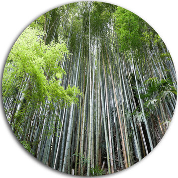 Dense Bamboo Forest Of Japan, Forest Disc Metal Artwork, 36"