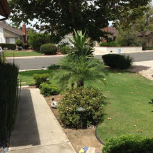 Morales Current Front & Back Yards