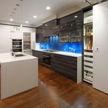 Bethesda, Maryland - Contemporary - Kitchen Design