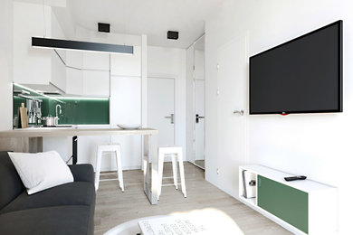 Дизайн проект квартира общей площадью 30 кв.м в стиле "Эко-минимализм"