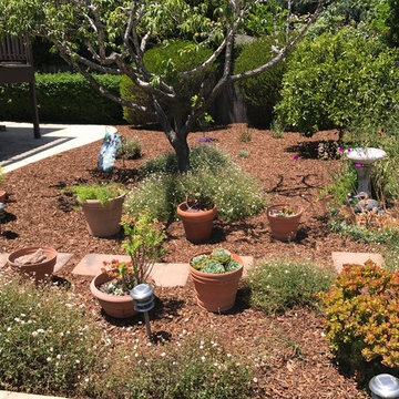 Landscape Maintenance