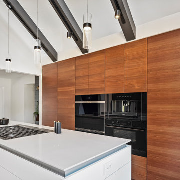Winter Haven Contemporary Kitchen