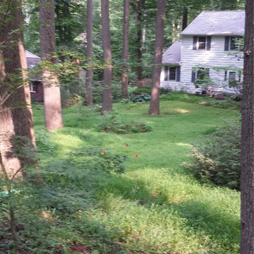 Landscaping and river rock drainage swale
